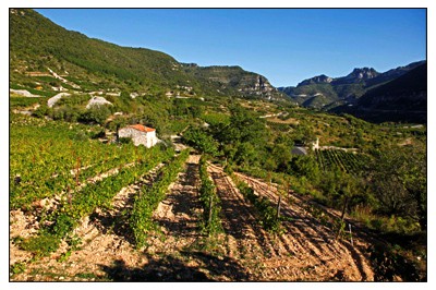 escalette,pas,vin,zernott,rousseau,languedoc,larzac