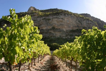 escalette,pas,vin,zernott,rousseau,languedoc,larzac